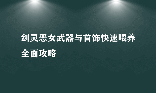 剑灵恶女武器与首饰快速喂养全面攻略