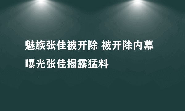 魅族张佳被开除 被开除内幕曝光张佳揭露猛料