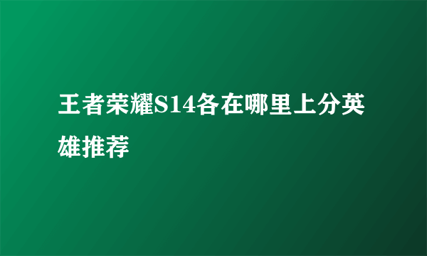 王者荣耀S14各在哪里上分英雄推荐