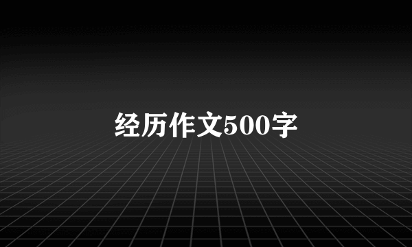 经历作文500字