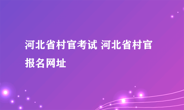 河北省村官考试 河北省村官报名网址