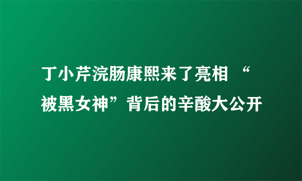 丁小芹浣肠康熙来了亮相 “被黑女神”背后的辛酸大公开