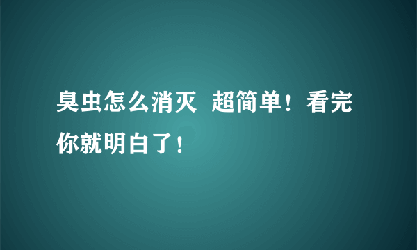 臭虫怎么消灭  超简单！看完你就明白了！