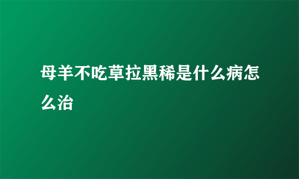 母羊不吃草拉黑稀是什么病怎么治