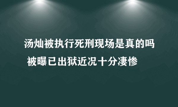 汤灿被执行死刑现场是真的吗 被曝已出狱近况十分凄惨