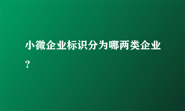 小微企业标识分为哪两类企业？