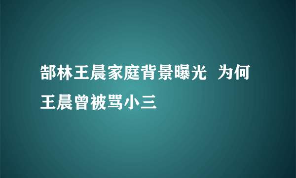 郜林王晨家庭背景曝光  为何王晨曾被骂小三