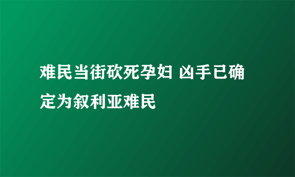 难民当街砍死孕妇 凶手已确定为叙利亚难民