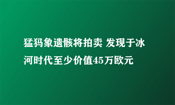 猛犸象遗骸将拍卖 发现于冰河时代至少价值45万欧元