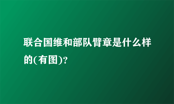 联合国维和部队臂章是什么样的(有图)？