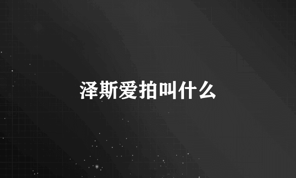 泽斯爱拍叫什么