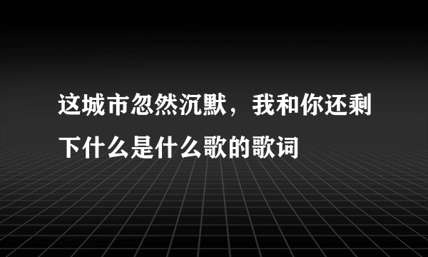 这城市忽然沉默，我和你还剩下什么是什么歌的歌词