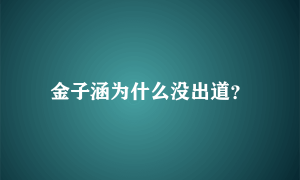 金子涵为什么没出道？