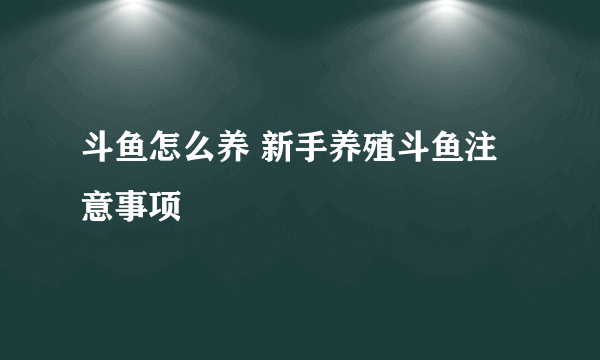 斗鱼怎么养 新手养殖斗鱼注意事项