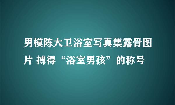 男模陈大卫浴室写真集露骨图片 搏得“浴室男孩”的称号