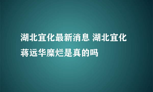 湖北宜化最新消息 湖北宜化蒋远华糜烂是真的吗