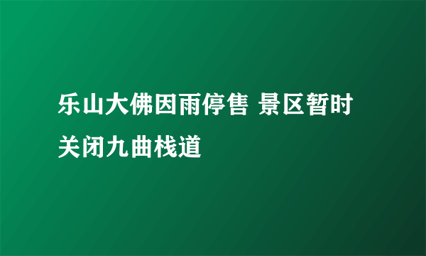 乐山大佛因雨停售 景区暂时关闭九曲栈道