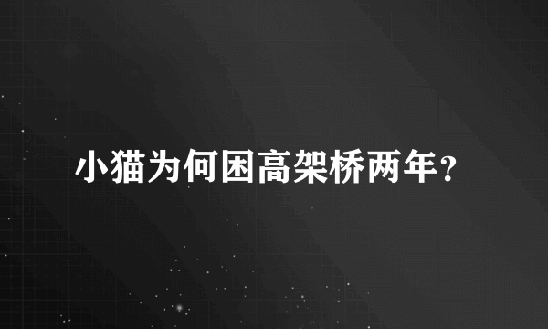 小猫为何困高架桥两年？