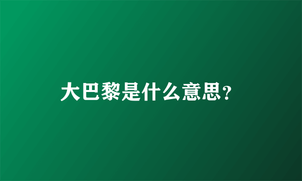 大巴黎是什么意思？