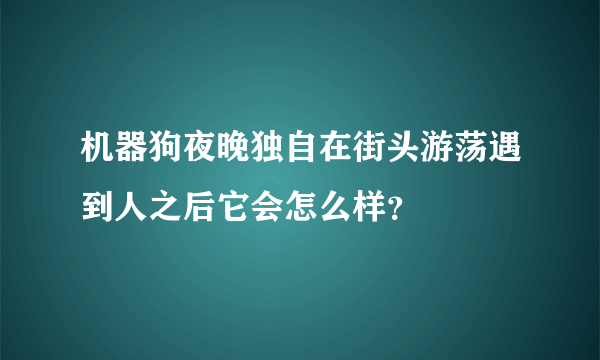 机器狗夜晚独自在街头游荡遇到人之后它会怎么样？