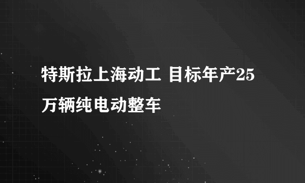 特斯拉上海动工 目标年产25万辆纯电动整车