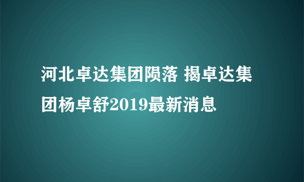 河北卓达集团陨落 揭卓达集团杨卓舒2019最新消息