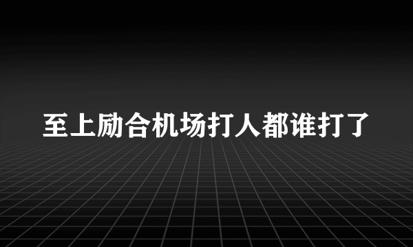 至上励合机场打人都谁打了