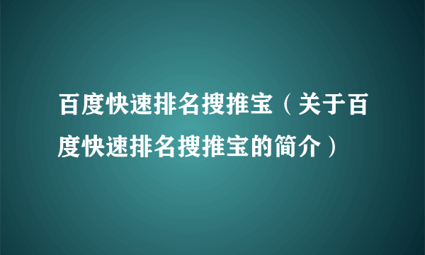 百度快速排名搜推宝（关于百度快速排名搜推宝的简介）