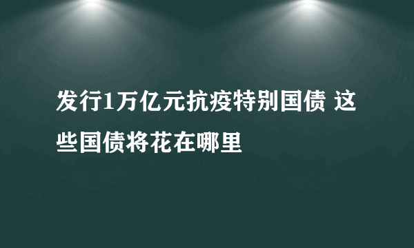 发行1万亿元抗疫特别国债 这些国债将花在哪里