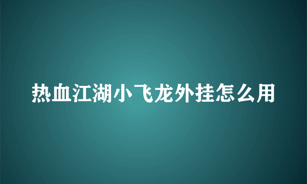 热血江湖小飞龙外挂怎么用