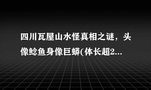 四川瓦屋山水怪真相之谜，头像鲶鱼身像巨蟒(体长超20米)—飞外