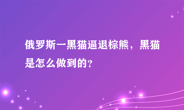 俄罗斯一黑猫逼退棕熊，黑猫是怎么做到的？