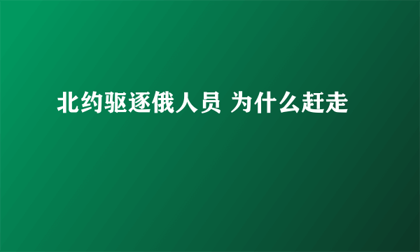 北约驱逐俄人员 为什么赶走