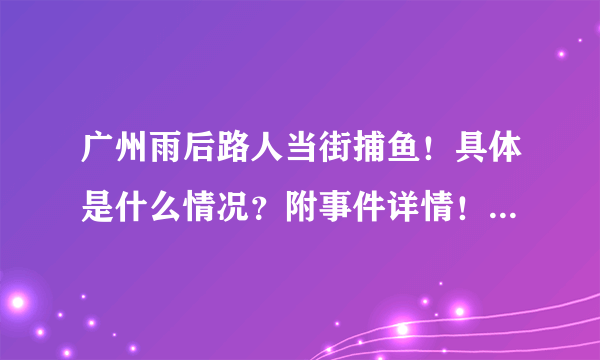 广州雨后路人当街捕鱼！具体是什么情况？附事件详情！ - 飞外网