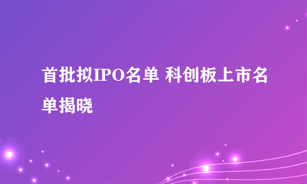 首批拟IPO名单 科创板上市名单揭晓