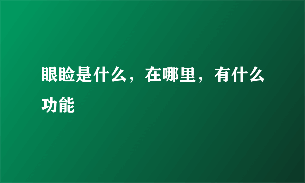 眼睑是什么，在哪里，有什么功能