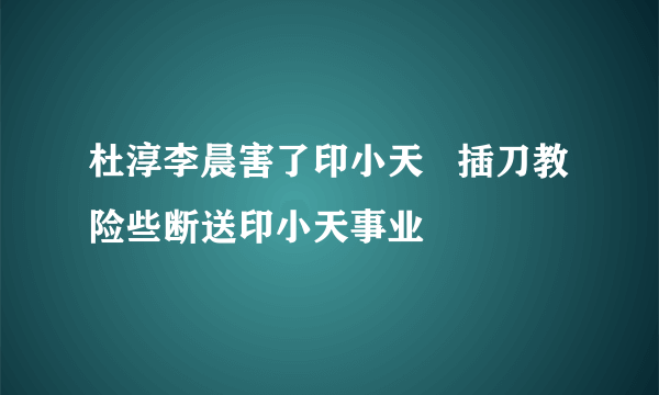 杜淳李晨害了印小天   插刀教险些断送印小天事业