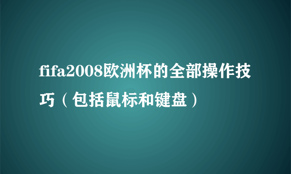 fifa2008欧洲杯的全部操作技巧（包括鼠标和键盘）