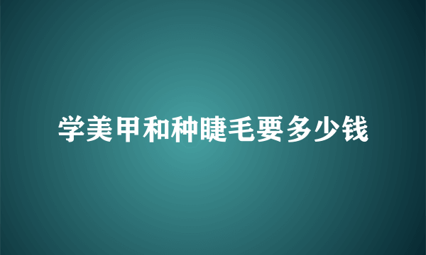 学美甲和种睫毛要多少钱