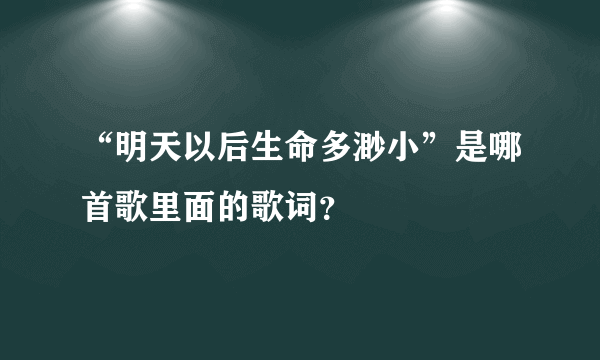 “明天以后生命多渺小”是哪首歌里面的歌词？