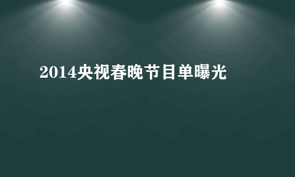 2014央视春晚节目单曝光