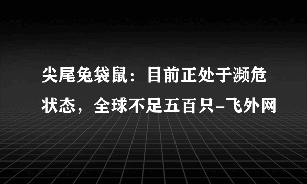 尖尾兔袋鼠：目前正处于濒危状态，全球不足五百只-飞外网