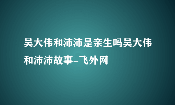 吴大伟和沛沛是亲生吗吴大伟和沛沛故事-飞外网