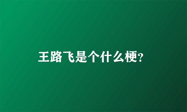 王路飞是个什么梗？