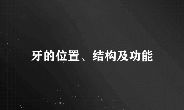 牙的位置、结构及功能