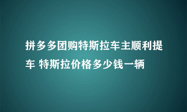 拼多多团购特斯拉车主顺利提车 特斯拉价格多少钱一辆