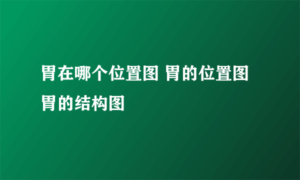 胃在哪个位置图 胃的位置图 胃的结构图