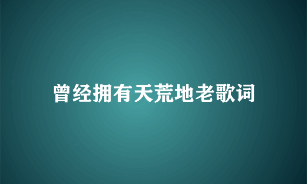 曾经拥有天荒地老歌词