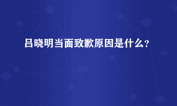 吕晓明当面致歉原因是什么？