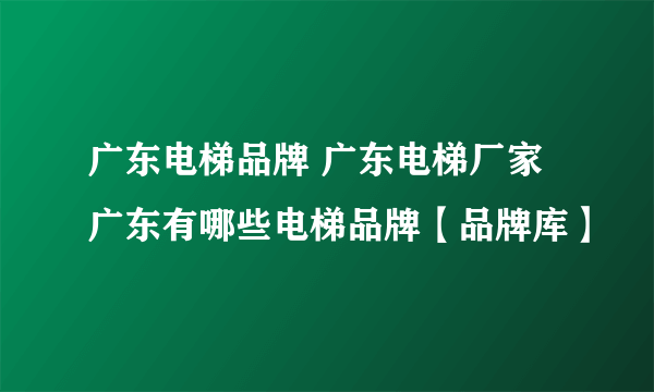 广东电梯品牌 广东电梯厂家 广东有哪些电梯品牌【品牌库】